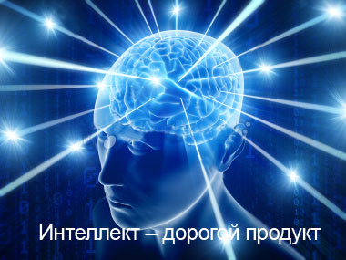 Интеллект – дорогой продукт